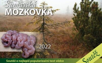 Vítězný popularizační článek soutěže Šumavská mozkovka