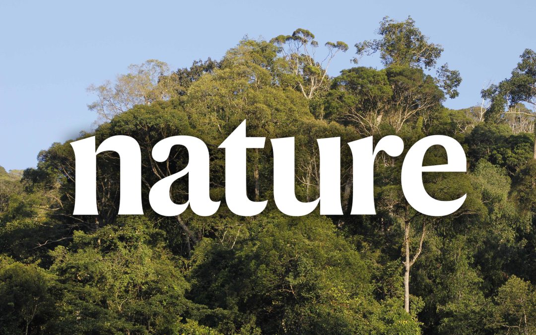 Publikace v NATURE: druhová bohatost a mortalita lesů